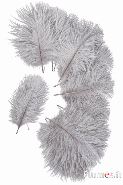 Struisvogel Bellies -8-13 cm - grijs